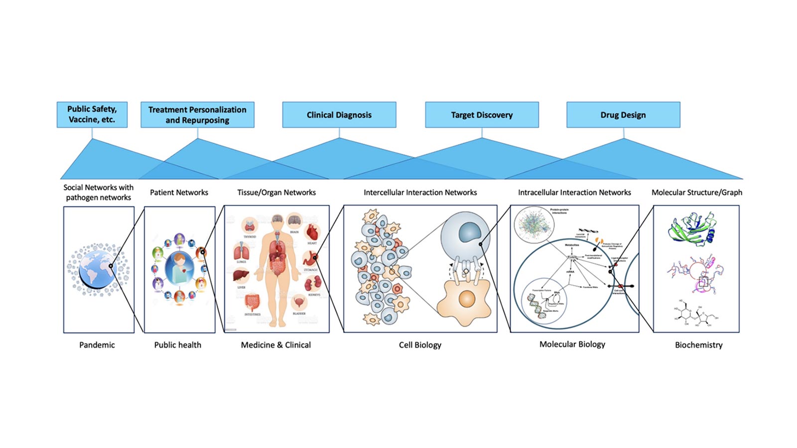 We present a vision of using AI to model and simulate biology and life. Why is it important? Because at the core of medicine, pharmacy, public health, longevity, agriculture and food security, environmental protection, and clean energy, it is biology at work. Biology in the physical world is too complex to manipulate and always expensive and risky to tamper with. In this perspective, we layout an engineering viable approach to address this challenge by constructing an AI-Driven Digital Organism (AIDO), a system of integrated multiscale foundation models, in a modular, connectable, and holistic fashion to reflect biological scales, connectedness, and complexities. An AIDO opens up a safe, affordable and high-throughput alternative platform for predicting, simulating and programming biology at all levels from molecules to cells to individuals. We envision that an AIDO is poised to trigger a new wave of better-guided wet-lab experimentation and betterinformed first-principle reasoning, which can eventually help us better decode and improve life.